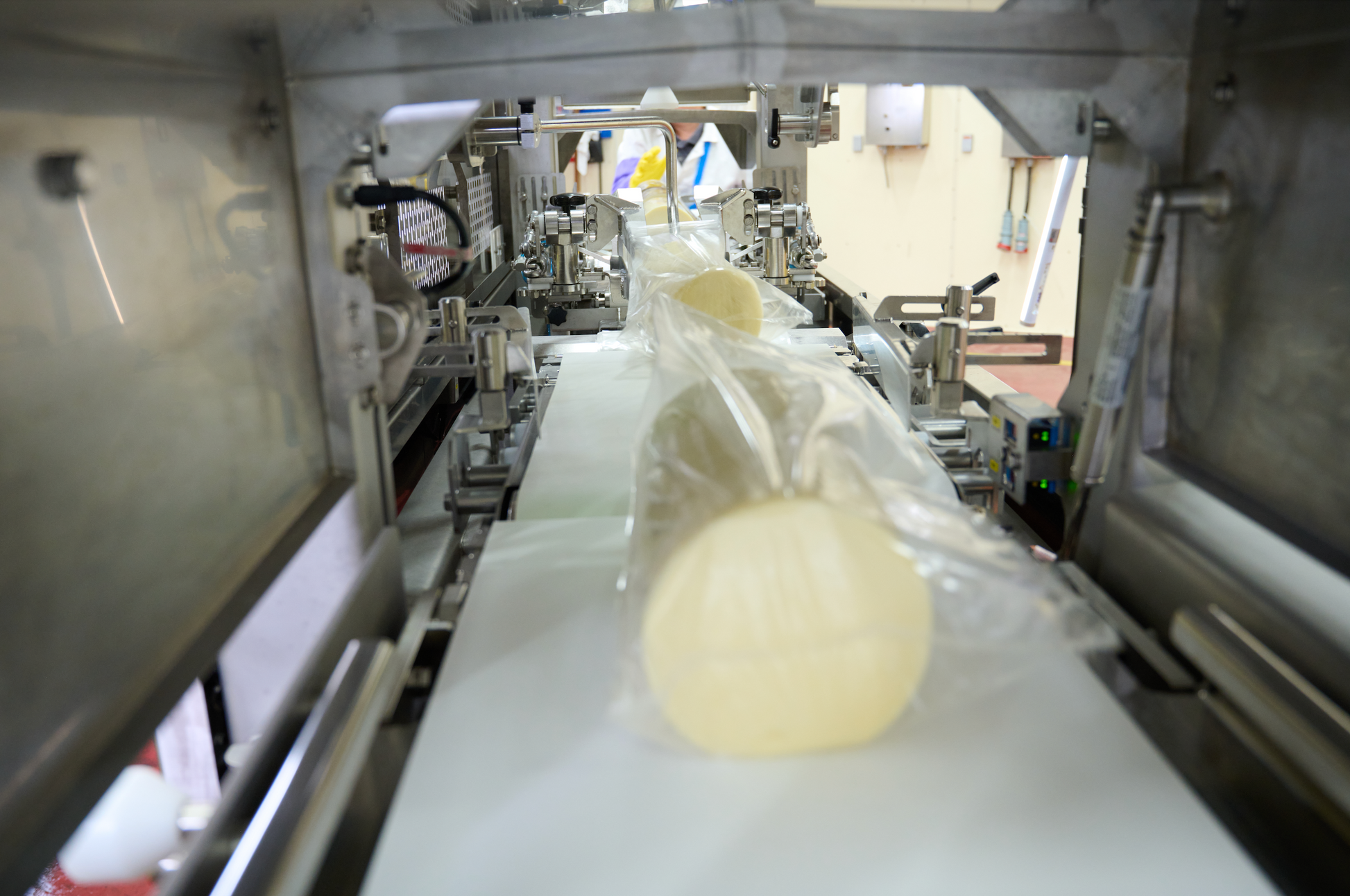 CRYOVAC® Brand Barrier Shrink Bags for Cheese – Sealed Air Small